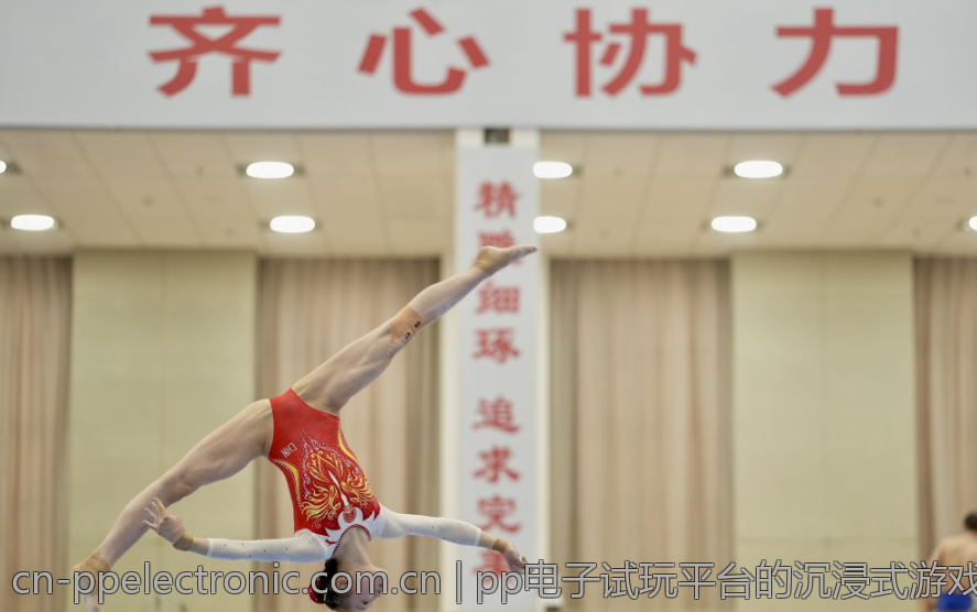 pp电子试玩平台的沉浸式游戏体验分析