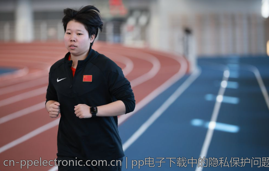 pp电子下载中的隐私保护问题讨论