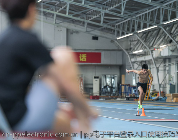 pp电子平台登录入口使用技巧与攻略